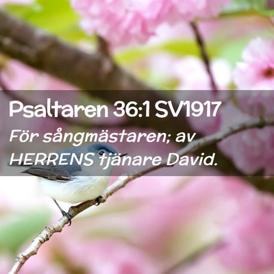 Picture 02 - Psaltaren 36:1 SV1917 - För sångmästaren; av HERRENS tjänare - Bible Verse Picture