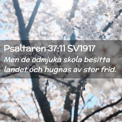 Picture 02 - Psaltaren 37:11 SV1917 - Men de ödmjuka skola besitta landet och hugnas - Bible Verse Picture