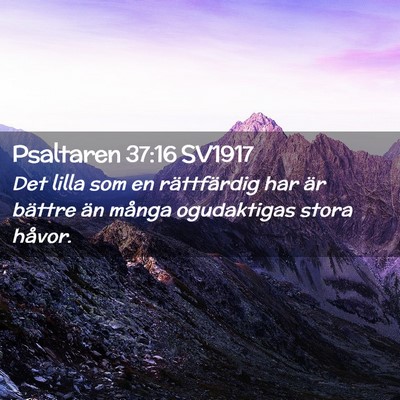 Picture 02 - Psaltaren 37:16 SV1917 - Det lilla som en rättfärdig har är bättre än - Bible Verse Picture