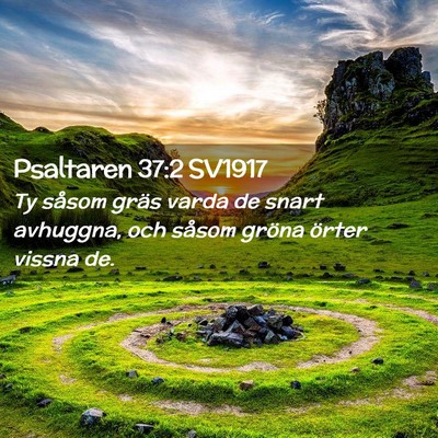 Picture 02 - Psaltaren 37:2 SV1917 - Ty såsom gräs varda de snart avhuggna, och - Bible Verse Picture