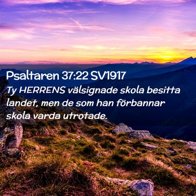 Picture 02 - Psaltaren 37:22 SV1917 - Ty HERRENS välsignade skola besitta landet, men - Bible Verse Picture