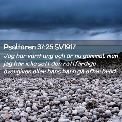 Picture 02 - Psaltaren 37:25 SV1917 - Jag har varit ung och är nu gammal, men jag har - Bible Verse Picture