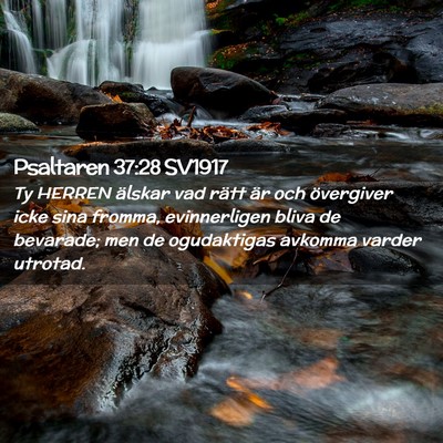 Picture 02 - Psaltaren 37:28 SV1917 - Ty HERREN älskar vad rätt är och övergiver - Bible Verse Picture