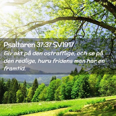 Picture 02 - Psaltaren 37:37 SV1917 - Giv akt på den ostrafflige, och se på den - Bible Verse Picture