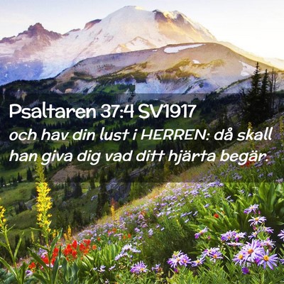 Picture 02 - Psaltaren 37:4 SV1917 - och hav din lust i HERREN: då skall han giva dig - Bible Verse Picture