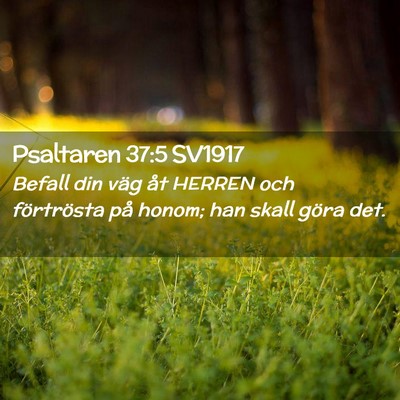 Picture 02 - Psaltaren 37:5 SV1917 - Befall din väg åt HERREN och förtrösta på - Bible Verse Picture