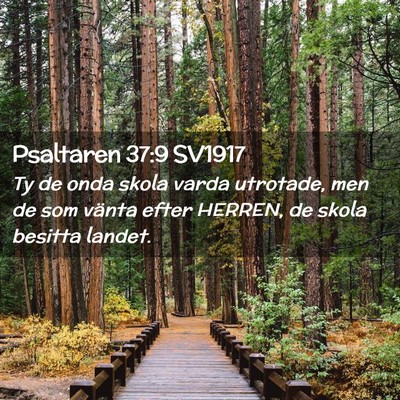 Picture 02 - Psaltaren 37:9 SV1917 - Ty de onda skola varda utrotade, men de som - Bible Verse Picture