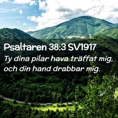 Picture 02 - Psaltaren 38:3 SV1917 - Ty dina pilar hava träffat mig, och din hand - Bible Verse Picture
