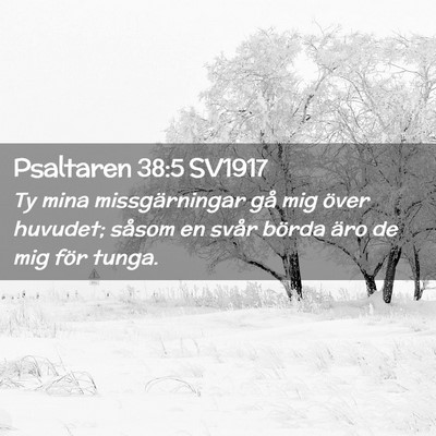 Picture 02 - Psaltaren 38:5 SV1917 - Ty mina missgärningar gå mig över huvudet; - Bible Verse Picture