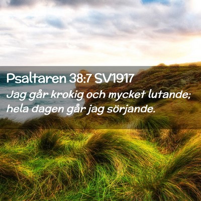 Picture 02 - Psaltaren 38:7 SV1917 - Jag går krokig och mycket lutande; hela dagen - Bible Verse Picture