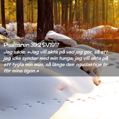 Picture 02 - Psaltaren 39:2 SV1917 - Jag sade: »Jag vill akta på vad jag gör, så - Bible Verse Picture
