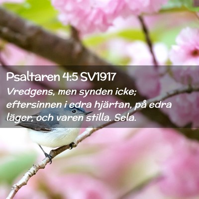 Picture 02 - Psaltaren 4:5 SV1917 - Vredgens, men synden icke; eftersinnen i edra - Bible Verse Picture