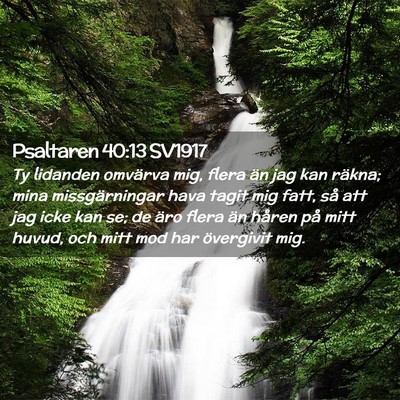 Picture 02 - Psaltaren 40:13 SV1917 - Ty lidanden omvärva mig, flera än jag kan - Bible Verse Picture