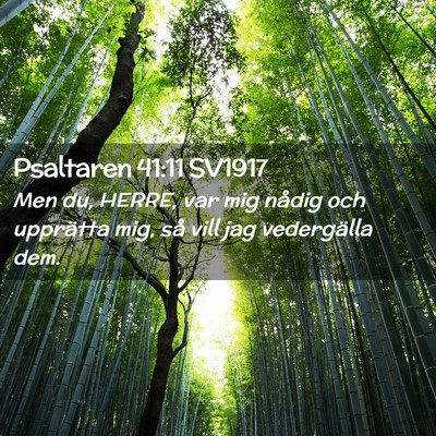 Picture 02 - Psaltaren 41:11 SV1917 - Men du, HERRE, var mig nådig och upprätta mig, - Bible Verse Picture