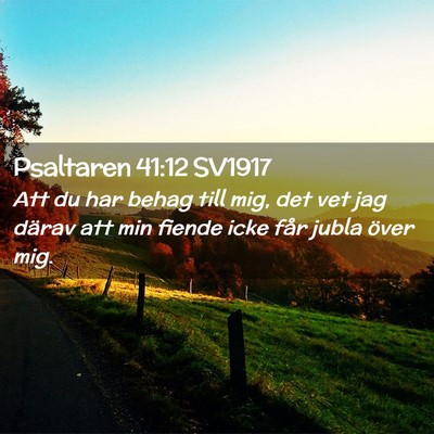 Picture 02 - Psaltaren 41:12 SV1917 - Att du har behag till mig, det vet jag därav att - Bible Verse Picture