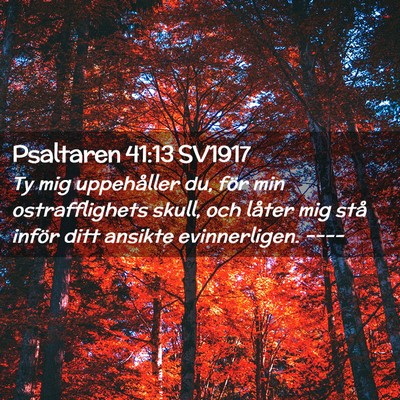 Picture 02 - Psaltaren 41:13 SV1917 - Ty mig uppehåller du, för min ostrafflighets - Bible Verse Picture
