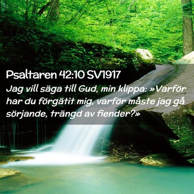 Picture 02 - Psaltaren 42:10 SV1917 - Jag vill säga till Gud, min klippa: »Varför - Bible Verse Picture