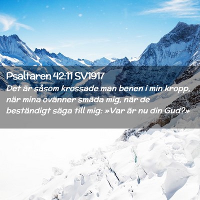 Picture 02 - Psaltaren 42:11 SV1917 - Det är såsom krossade man benen i min kropp, - Bible Verse Picture