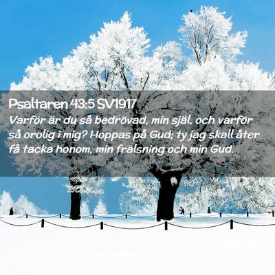 Picture 02 - Psaltaren 43:5 SV1917 - Varför är du så bedrövad, min själ, och - Bible Verse Picture