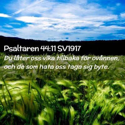 Picture 02 - Psaltaren 44:11 SV1917 - Du låter oss vika tillbaka för ovånnen, och de - Bible Verse Picture