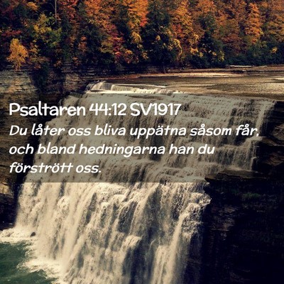 Picture 02 - Psaltaren 44:12 SV1917 - Du låter oss bliva uppätna såsom får, och - Bible Verse Picture