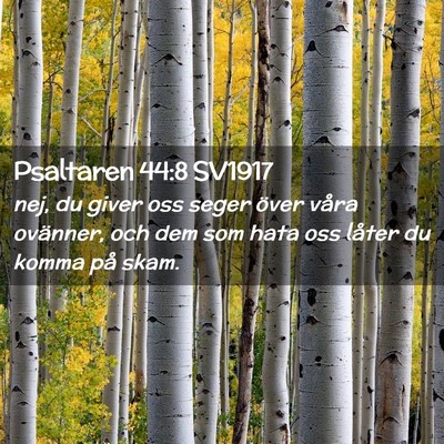 Picture 02 - Psaltaren 44:8 SV1917 - nej, du giver oss seger över våra ovänner, och - Bible Verse Picture