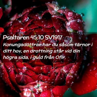 Picture 02 - Psaltaren 45:10 SV1917 - Konungadöttrar har du såsom tärnor i ditt hov, - Bible Verse Picture