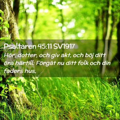 Picture 02 - Psaltaren 45:11 SV1917 - Hör, dotter, och giv akt, och böj ditt öra - Bible Verse Picture