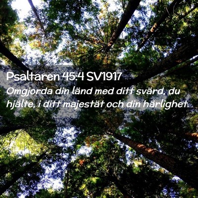 Picture 02 - Psaltaren 45:4 SV1917 - Omgjorda din länd med ditt svärd, du hjälte, i - Bible Verse Picture