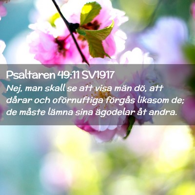 Picture 02 - Psaltaren 49:11 SV1917 - Nej, man skall se att visa män dö, att dårar - Bible Verse Picture