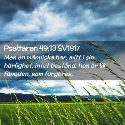 Picture 02 - Psaltaren 49:13 SV1917 - Men en människa har, mitt i sin härlighet, - Bible Verse Picture