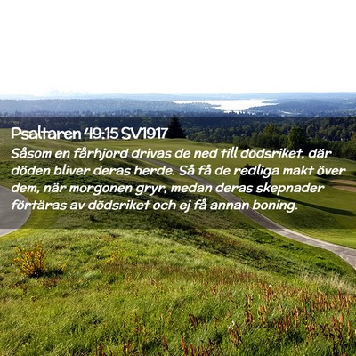 Picture 02 - Psaltaren 49:15 SV1917 - Såsom en fårhjord drivas de ned till - Bible Verse Picture