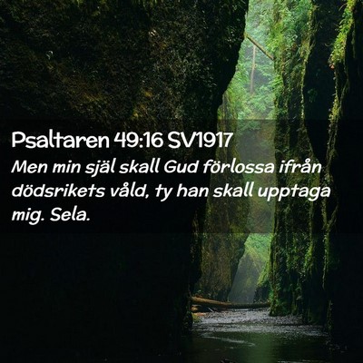 Picture 02 - Psaltaren 49:16 SV1917 - Men min själ skall Gud förlossa ifrån - Bible Verse Picture