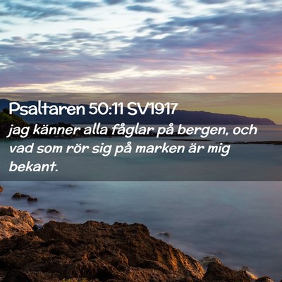 Picture 02 - Psaltaren 50:11 SV1917 - jag känner alla fåglar på bergen, och vad som - Bible Verse Picture