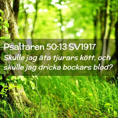 Picture 02 - Psaltaren 50:13 SV1917 - Skulle jag äta tjurars kött, och skulle jag - Bible Verse Picture