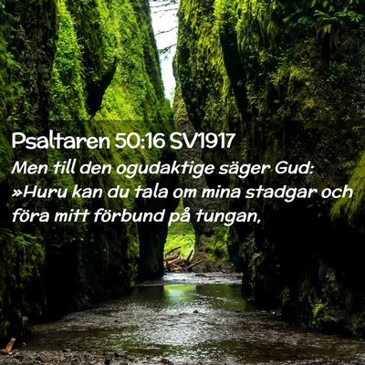 Picture 02 - Psaltaren 50:16 SV1917 - Men till den ogudaktige säger Gud: »Huru kan du - Bible Verse Picture