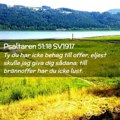 Picture 02 - Psaltaren 51:18 SV1917 - Ty du har icke behag till offer, eljest skulle - Bible Verse Picture