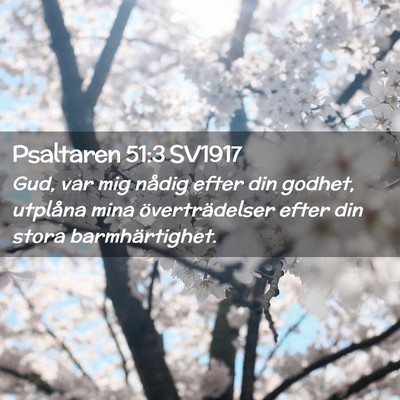 Picture 02 - Psaltaren 51:3 SV1917 - Gud, var mig nådig efter din godhet, utplåna - Bible Verse Picture