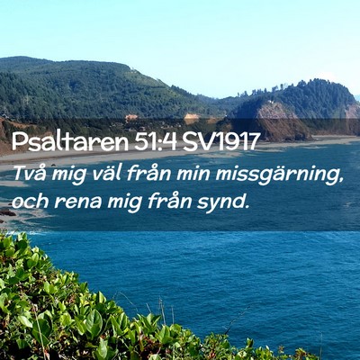 Picture 02 - Psaltaren 51:4 SV1917 - Två mig väl från min missgärning, och rena - Bible Verse Picture