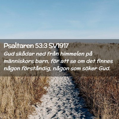 Picture 02 - Psaltaren 53:3 SV1917 - Gud skådar ned från himmelen på människors - Bible Verse Picture