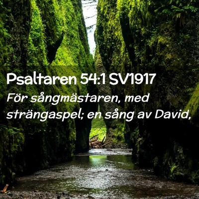 Picture 02 - Psaltaren 54:1 SV1917 - För sångmästaren, med strängaspel; en sång - Bible Verse Picture