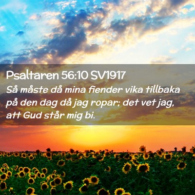 Picture 02 - Psaltaren 56:10 SV1917 - Så måste då mina fiender vika tillbaka på den - Bible Verse Picture