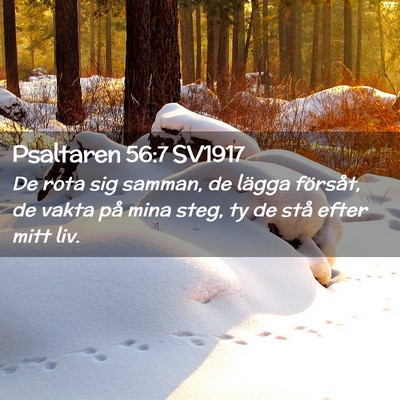 Picture 02 - Psaltaren 56:7 SV1917 - De rota sig samman, de lägga försåt, de vakta - Bible Verse Picture