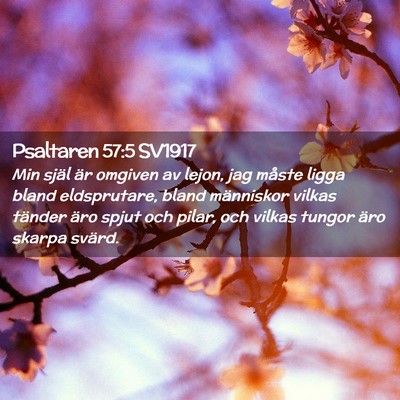 Picture 02 - Psaltaren 57:5 SV1917 - Min själ är omgiven av lejon, jag måste ligga - Bible Verse Picture
