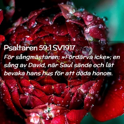Picture 02 - Psaltaren 59:1 SV1917 - För sångmästaren; »Fördärva icke»; en - Bible Verse Picture
