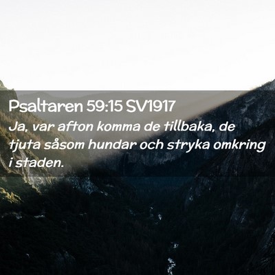 Picture 02 - Psaltaren 59:15 SV1917 - Ja, var afton komma de tillbaka, de tjuta såsom - Bible Verse Picture