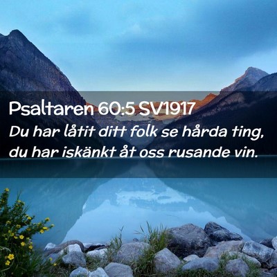 Picture 02 - Psaltaren 60:5 SV1917 - Du har låtit ditt folk se hårda ting, du har - Bible Verse Picture