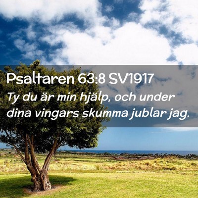 Picture 02 - Psaltaren 63:8 SV1917 - Ty du är min hjälp, och under dina vingars - Bible Verse Picture