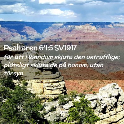 Picture 02 - Psaltaren 64:5 SV1917 - för att i lönndom skjuta den ostrafflige; - Bible Verse Picture