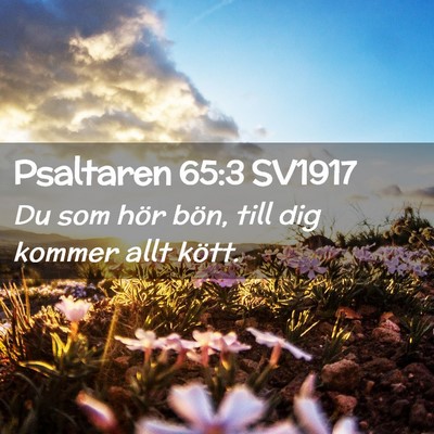 Picture 02 - Psaltaren 65:3 SV1917 - Du som hör bön, till dig kommer allt - Bible Verse Picture